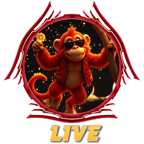 Live Casino